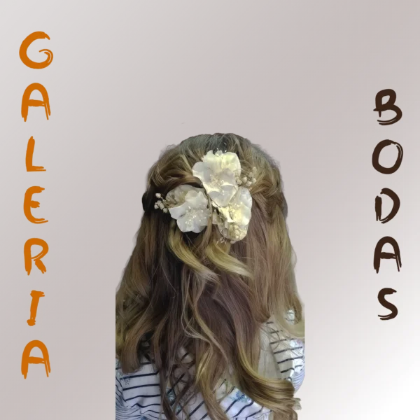 Bodas 003