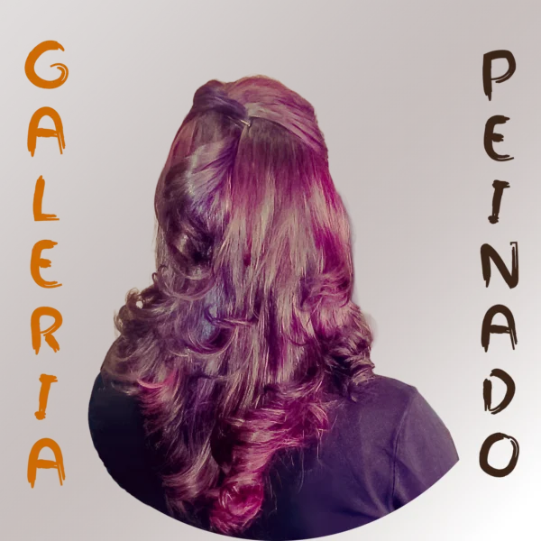 Peinado 001