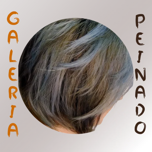Peinado 002