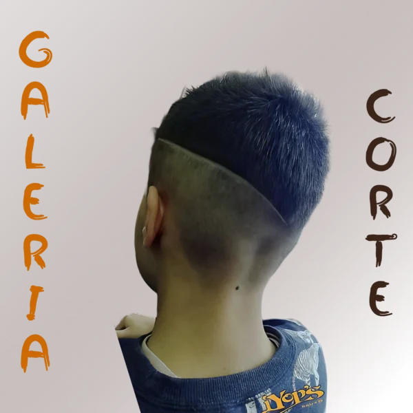 Corte 001