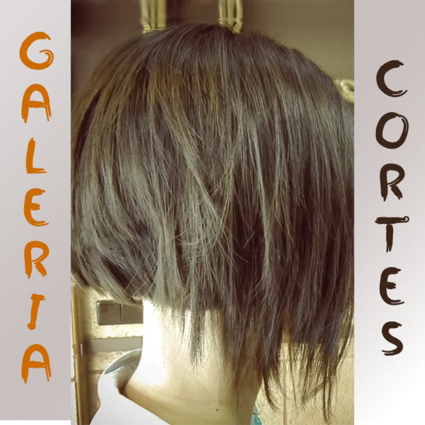 Galería Corte