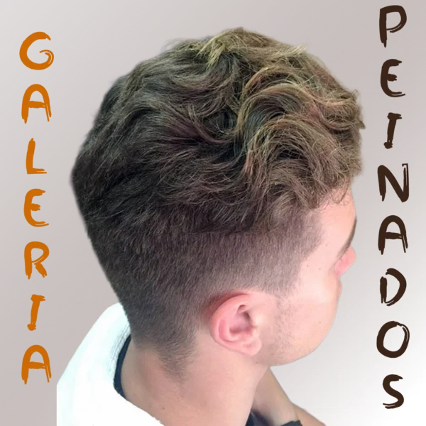Galería Peinados