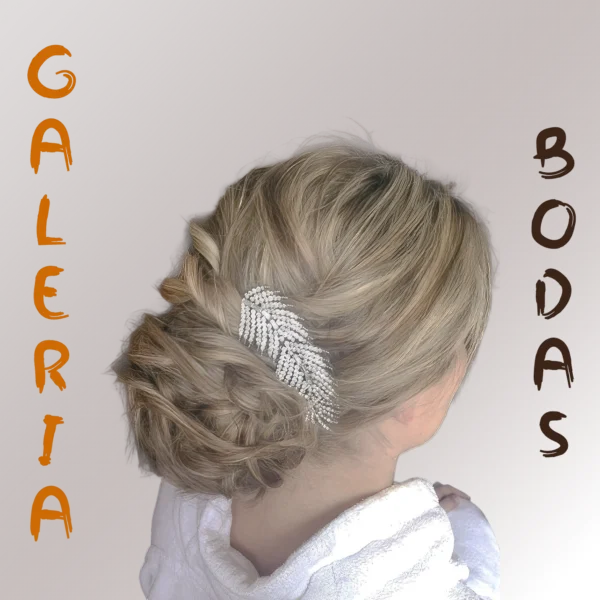 Bodas 001
